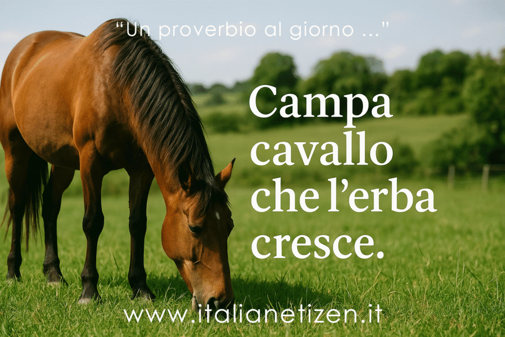 Campa cavallo che l’erba cresce
