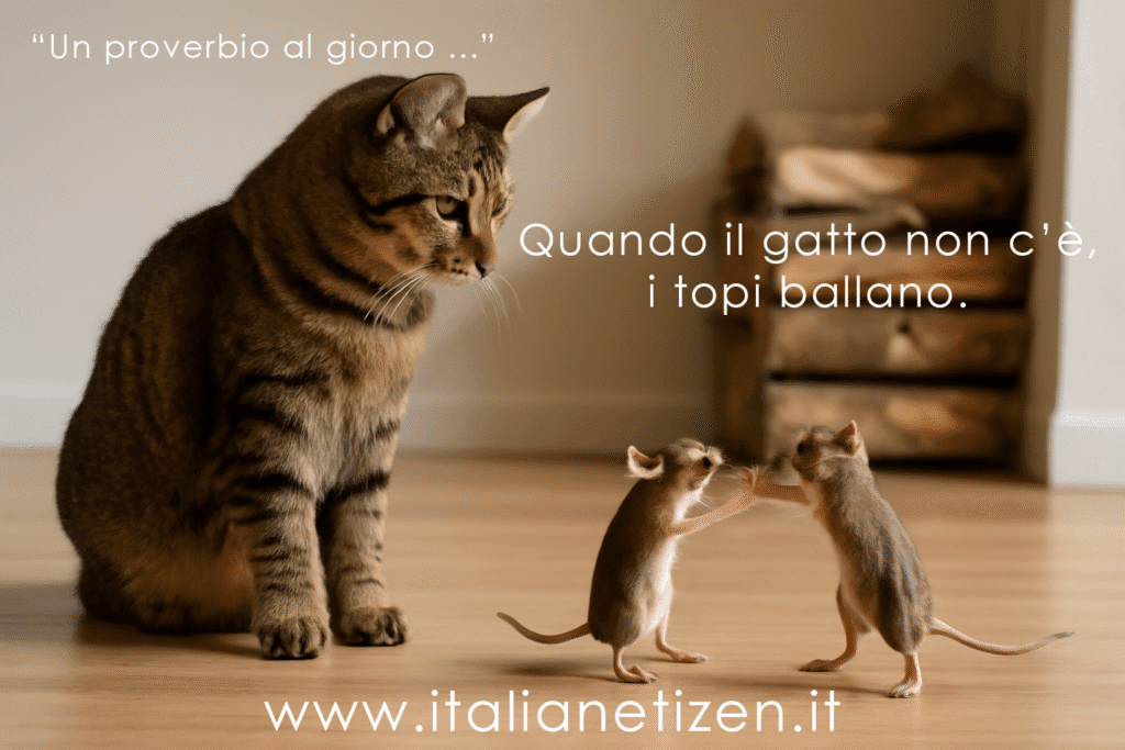 Quando il gatto non c’è, i topi ballano