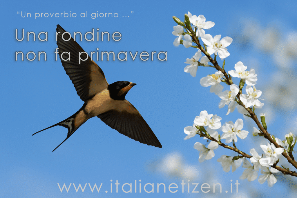 Una rondine non fa primavera