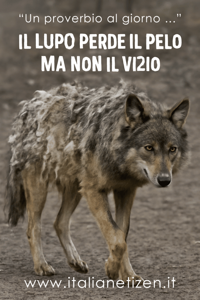 Il lupo perde il pelo ma non il vizio