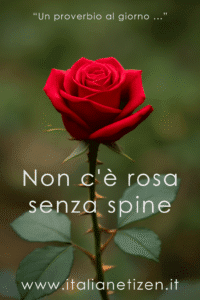 Scopri di più sull'articolo Non c’è rosa senza spine