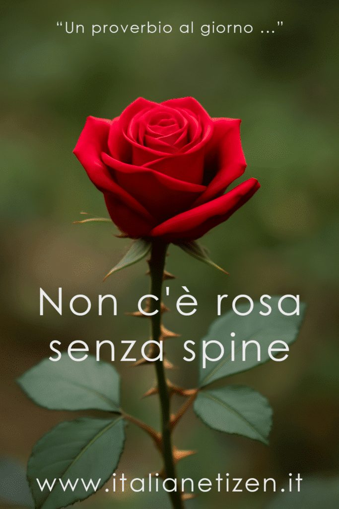 Non c’è rosa senza spine