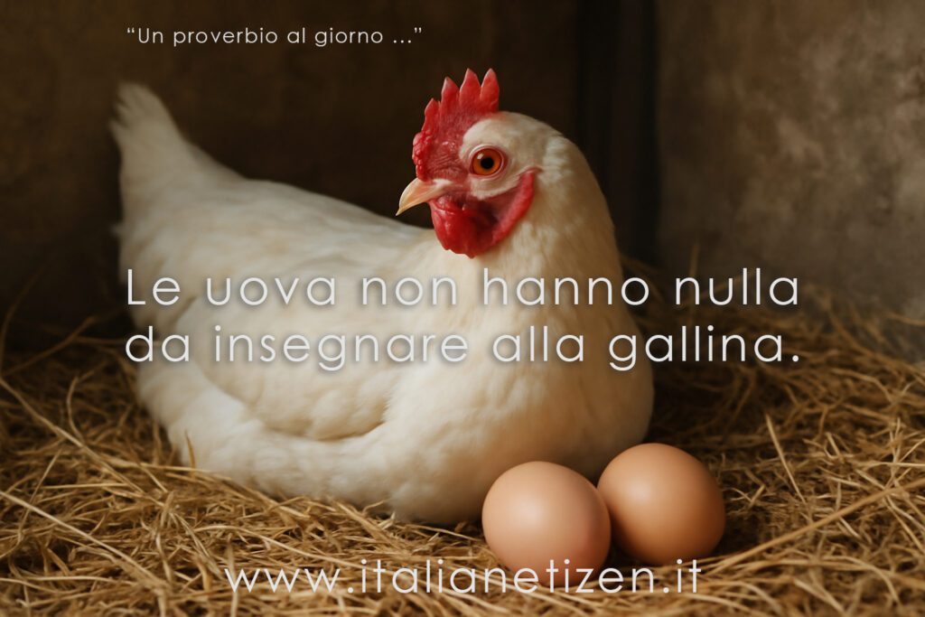 Le uova non hanno nulla da insegnare alla gallina