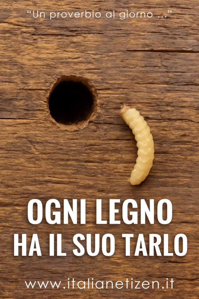Ogni legno ha il suo tarlo