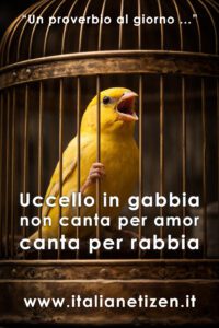 Scopri di più sull'articolo Uccello in gabbia non canta per amor, canta per rabbia
