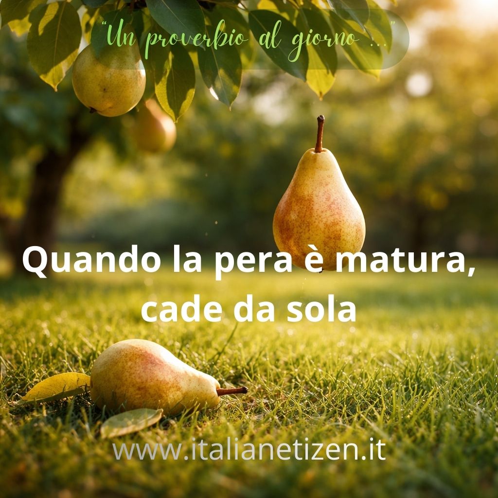 Quando la pera è matura, cade da sola