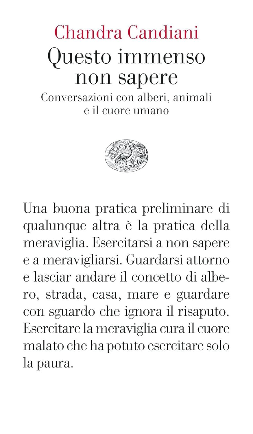 Al momento stai visualizzando Questo immenso non sapere