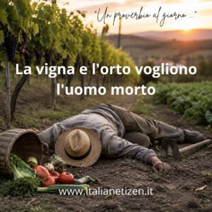 Scopri di più sull'articolo La vigna e l’orto vogliono l’uomo morto
