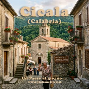 Scopri di più sull'articolo Cicala