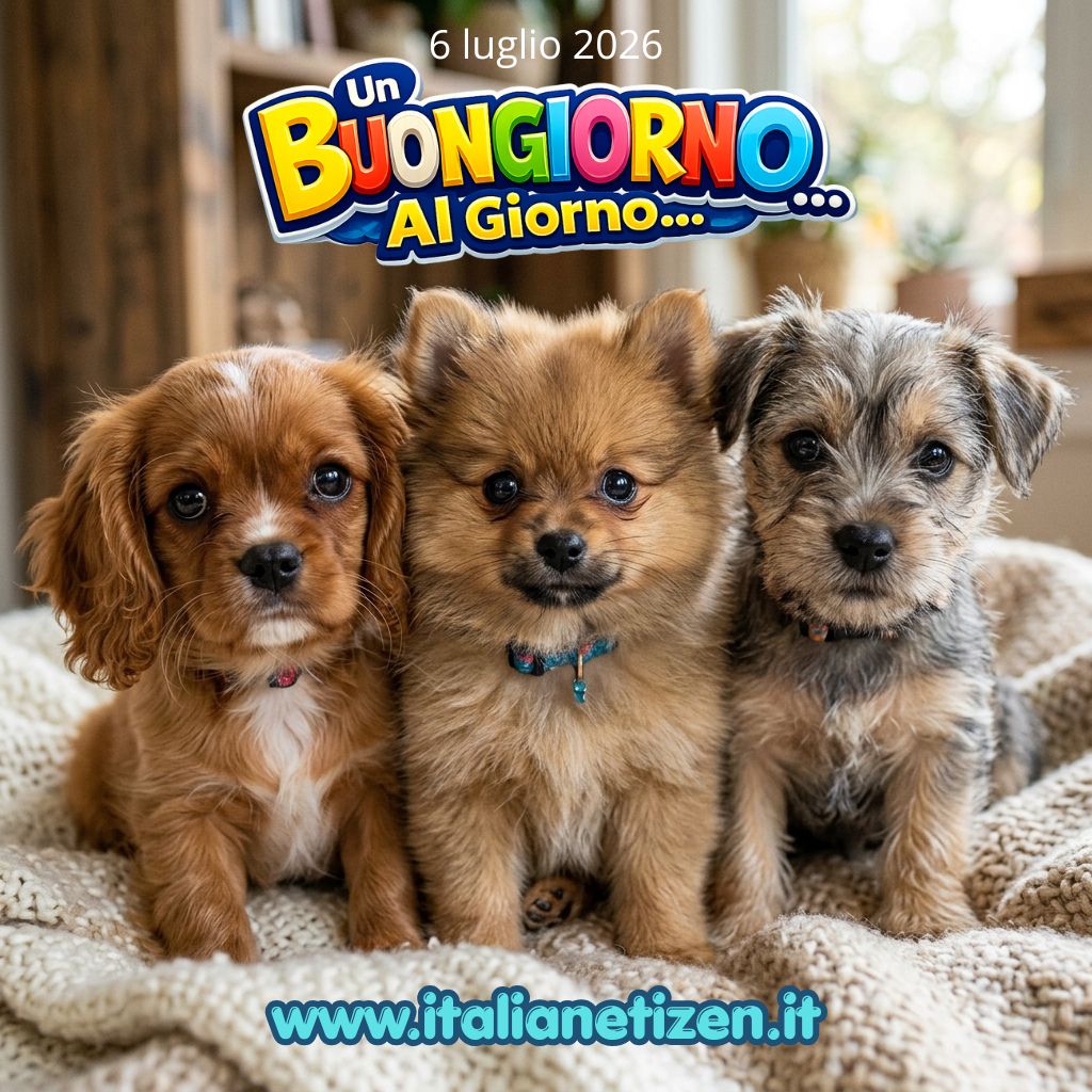 Al momento stai visualizzando Buongiorno 6 luglio 2026