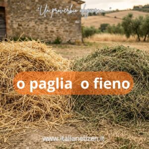 Scopri di più sull'articolo O Paglia o Fieno