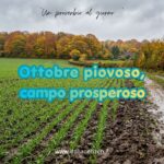 Ottobre piovoso, campo prosperoso